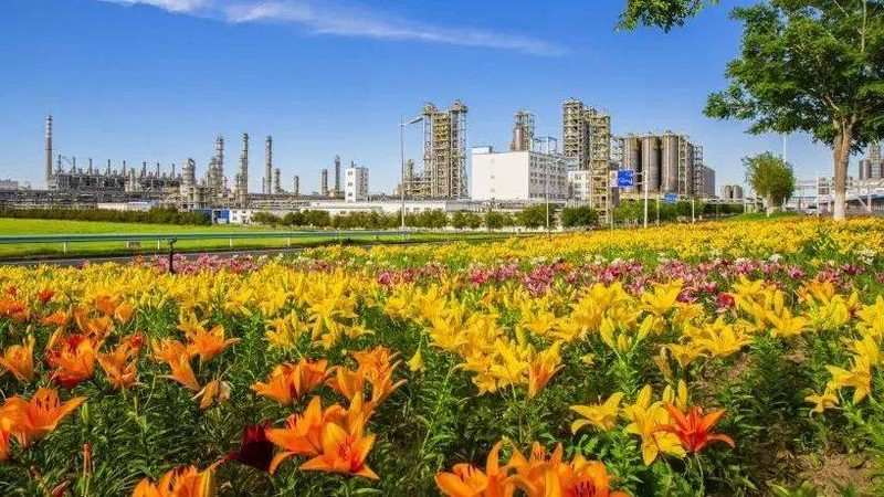 豆腐加工消泡剂：如何选择合适的消泡剂及成本分析