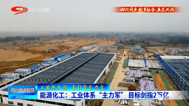 从“十大品牌”榜单看精细化工行业的真实竞争格局